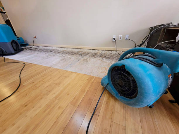 Professional Structural Drying technician working in Boxholm, IA